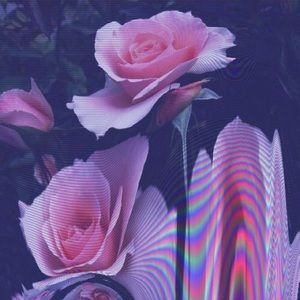 Meet your Posher, Rachael